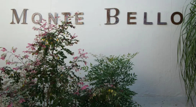 Monte Bello Guesthouse, Book Guesthouse Hotels in Windhoek with a Pool, near Multichoice Namibia Head office, Swimming Pool