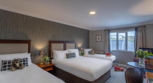 Семейный номер Standard Dooleys Hotel Waterford City