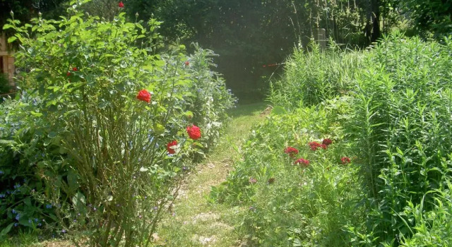 Коттедж Serenella fontaine Et Coquelicots