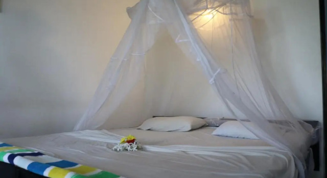 Одноместный номер Standard с балконом Manel Guest House