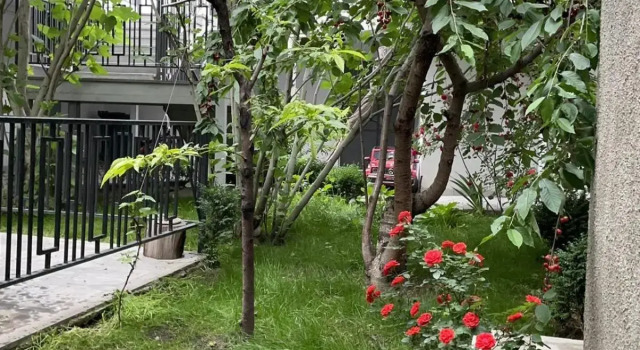 SM Apartment 1
