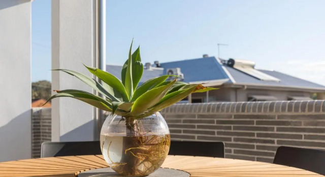 Апартаменты 13 First Avenue Sawtell
