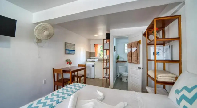 Двухместная студия Placencia Villas