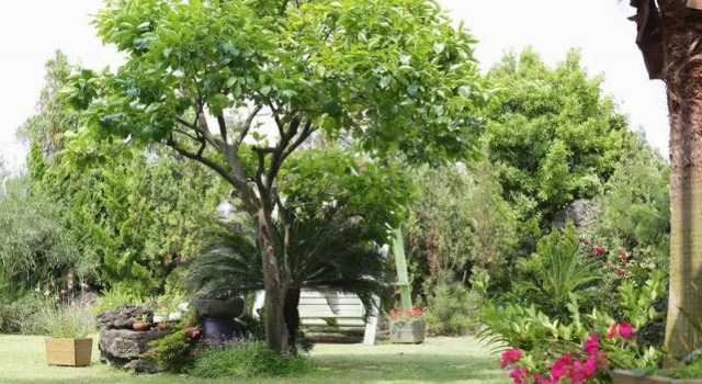 Namu Hyanggi Pension