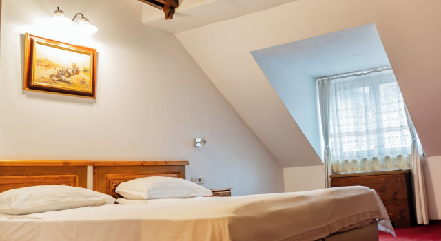 Hotel Traube, Prenota Hotel Mediaş Sibiu County
