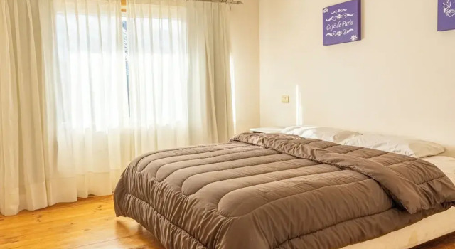 Номер Standard ORIPLATA