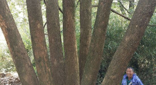 Xintiandi Leisure Park, Prenota Hotel Hotel a Lishui con piscina, Piscina