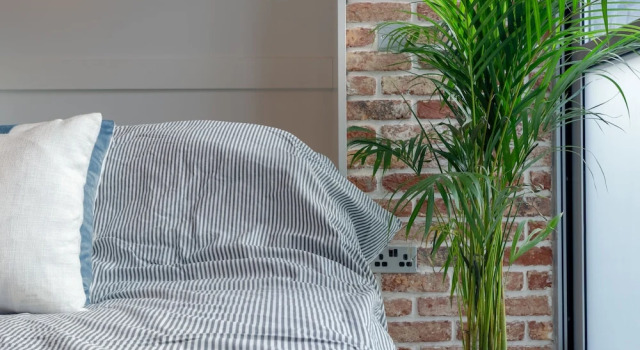 Godson Street Stylish Apartment