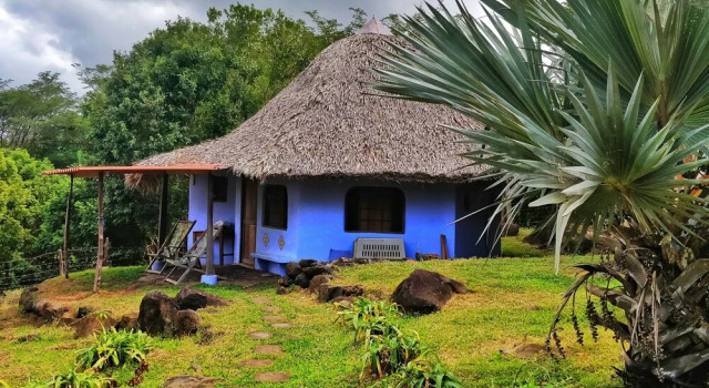Номер Comfort Finca del Sol Eco Lodge