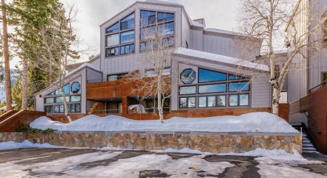 Snowcountry #3