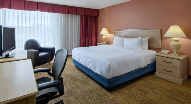 Двухместный номер Standard с видом на бассейн Wyndham El Paso Airport and Water Park