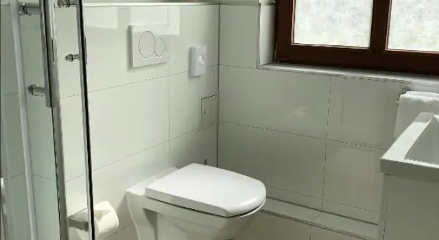 Номер Standard Hotel-Gasthaus Schwanen