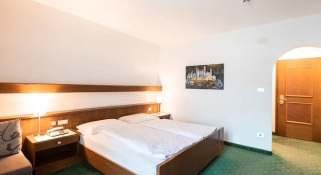 Двухместный номер Standard с балконом и с видом на горы Hotel Reipertingerhof