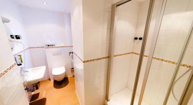Двухместный номер Superior Hotel zum Ritter St Georg - Oldest Residential Building in Heidelberg