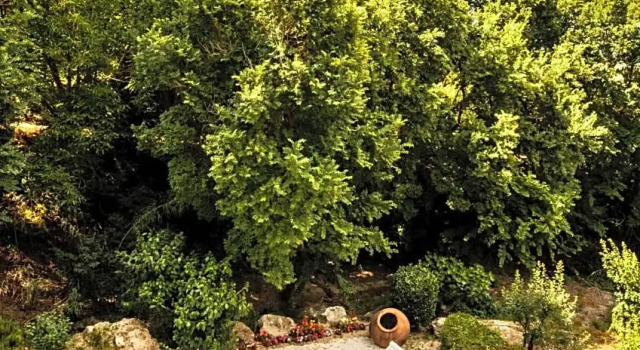 Вилла Ayii Anargyri Natural Healing Spa Resort