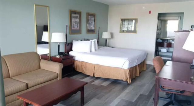 Двухместный номер Standard Opal Hotel & Suites