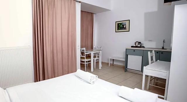 Номер Standard Ikaros Art Hotel