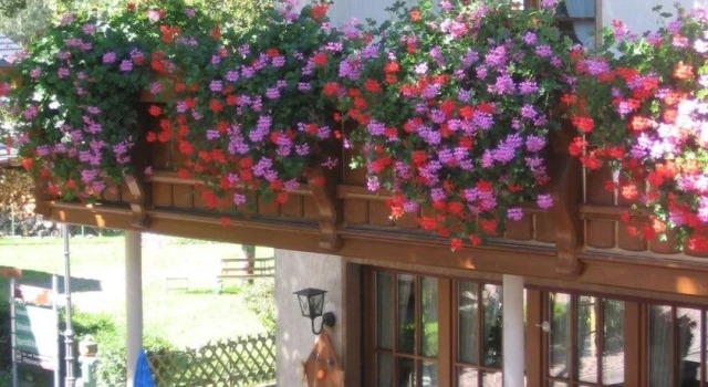 Gasthaus Zum Hirschen, Varaa Hotelli Simonswald Breisgau, lähellä Kulturhistorische Olmuhle