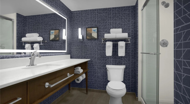 Двухместный люкс c 1 комнатой Homewood Suites by Hilton Gaithersburg/Washington, DC North