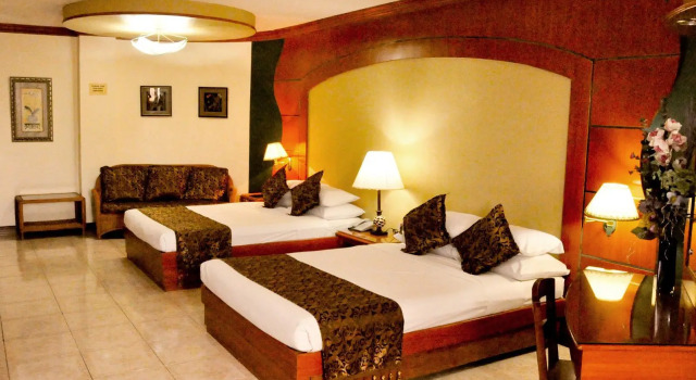 Люкс Superior Wregent Plaza Hotel
