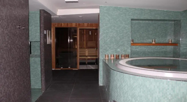 Одноместный номер Standard Hotel Alpina