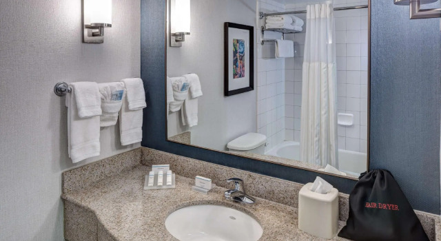 Двухместный номер Premium with In-room drinks and snacks Hilton Garden Inn Savannah Airport