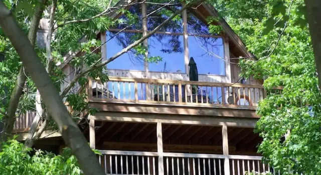 Deluxe Zimmer Tree House