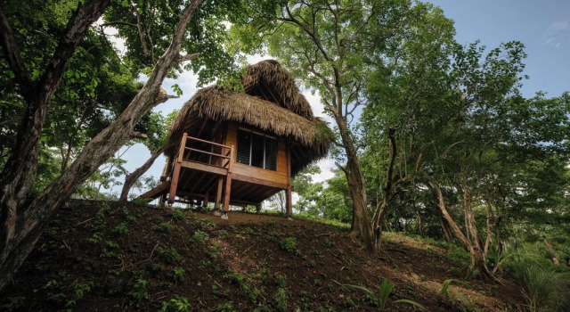 Двухместный номер Standard рядом с пляжем Eco Venao Lodge, Playa Venao