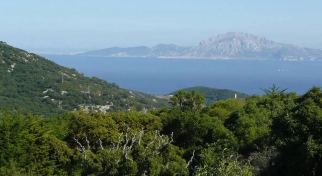 Вилла Villa Tarifa