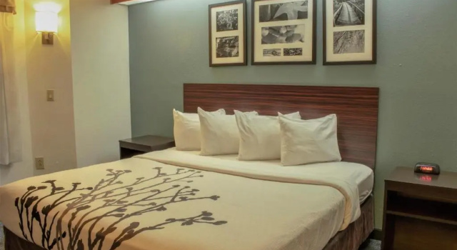 Standard- værelse Sleep Inn Lake Wright