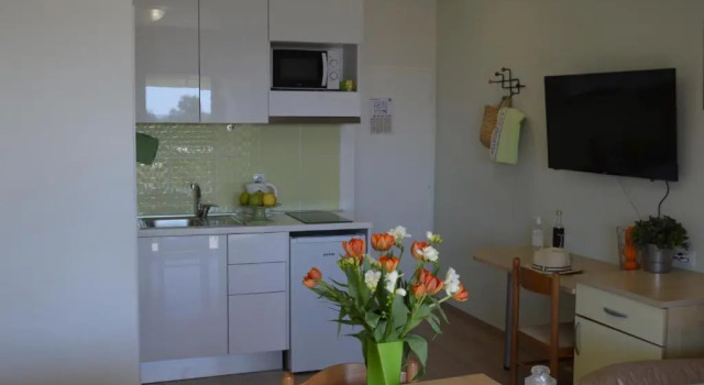 Студия с видом на море Rooms & Apartments Villa Anka