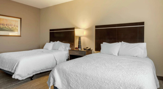 Четырёхместный номер Standard Hampton Inn Alamosa