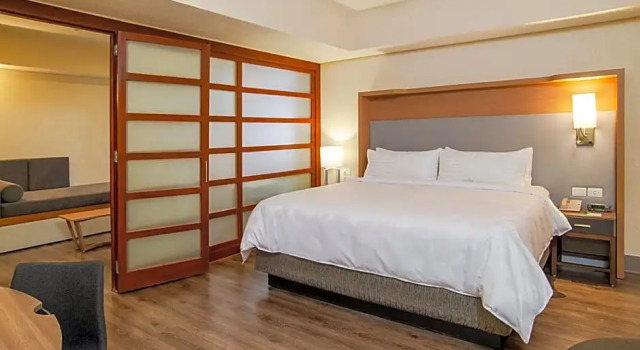 Люкс Superior Holiday Inn MEXICO COYOACAN