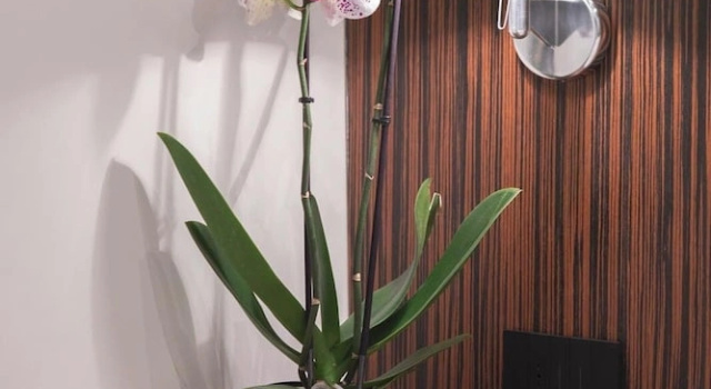 Номер Standard The Place