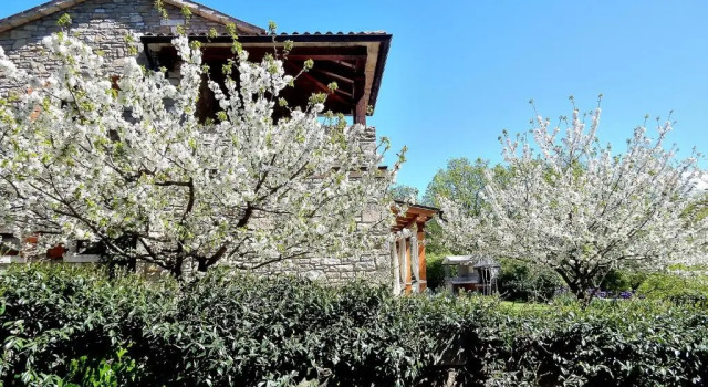 Коттедж Holiday Home Casa Dei Farfui