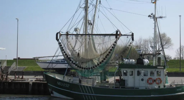 Aquantis Bensersiel, Réserver Hôtel Esens Frise orientale