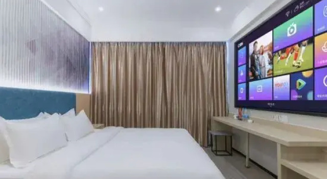 Люкс c 1 комнатой Bolin Hotel