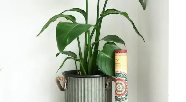 Коттедж с 3 комнатами Irving House