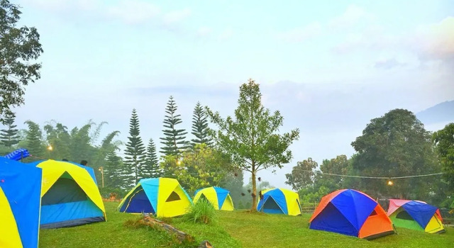 Phulikit View