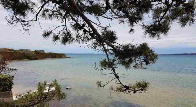 Коттедж Beachfront Skoblar Holiday Home with Seaview