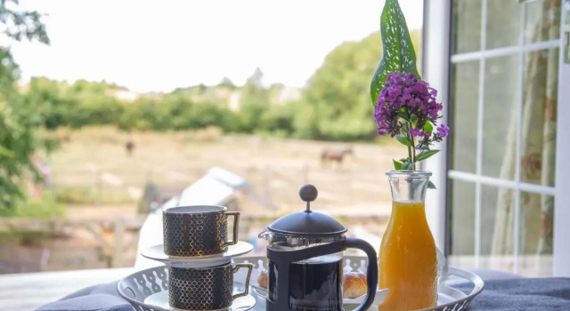 Полулюкс Deluxe Cherry Orchard Farm