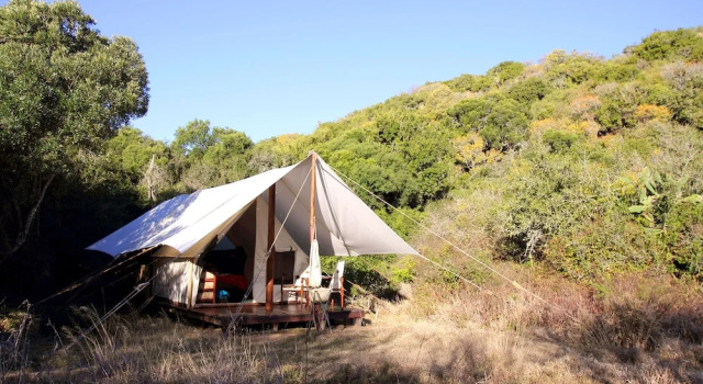 Номер Superior Quatermains 1920s Safari Camp - Amakhala Game Reserve