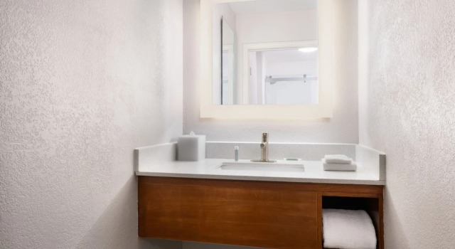 Люкс SpringHill Suites by Marriott Newnan