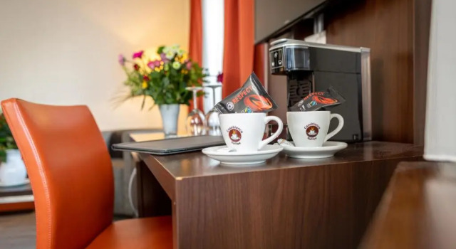Двухместный номер Deluxe Hotel Rheinfelderhof