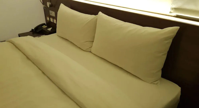 Двухместный номер Economy Audi Garden Business Hotel