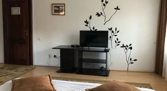 Двухместный номер Standard Pensiunea Brândușa