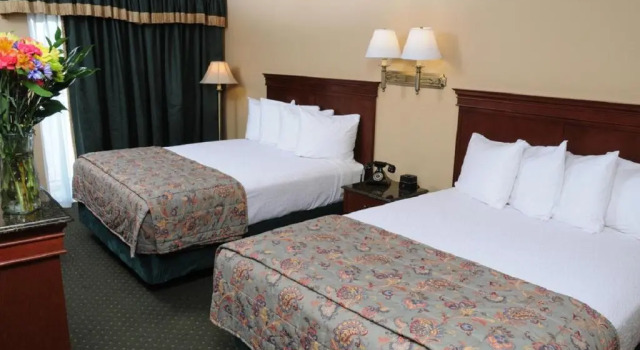 Четырёхместный номер Standard Pikes Waterfront Lodge