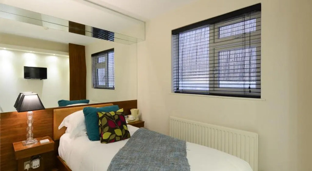 Одноместный номер Standard New Linden Hotel