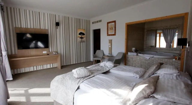 Двухместный номер Standard Wellness Hotel Laroba