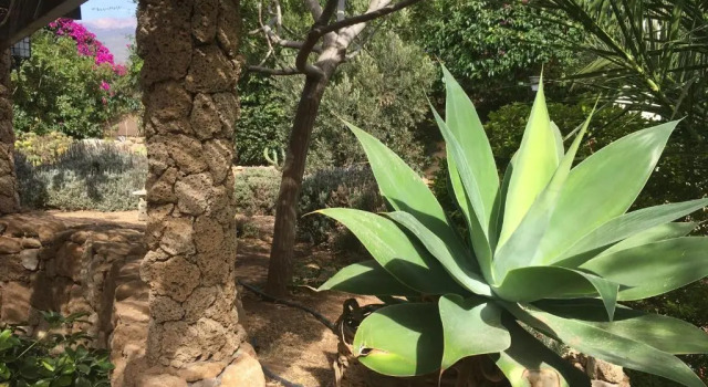 Finca Rural San Agustin, Book Hotel Hotels in Tenerife with Parking, Parking